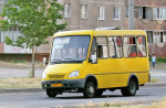 BAZ-2215_Delfin